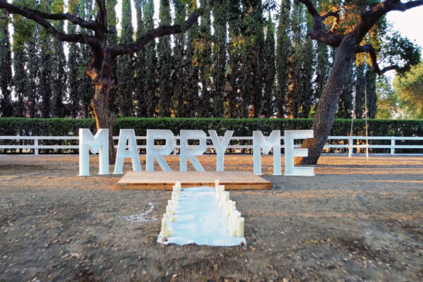 marry-me-reduced